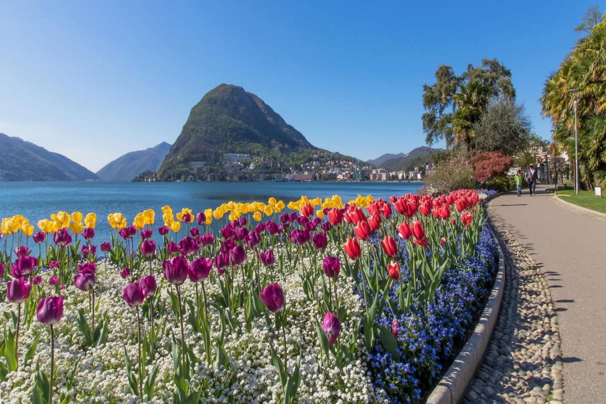 Ca' Gina Panoramica Leilighet Lugano Eksteriør bilde